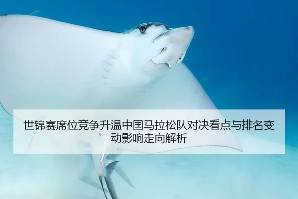 世锦赛席位竞争升温中国马拉松队对决看点与排名变动影响走向解析